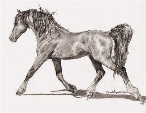 dibujos animados de caballos|dibujos de caballos a lapiz.